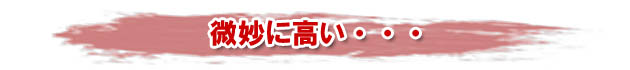 微妙に高い・・・